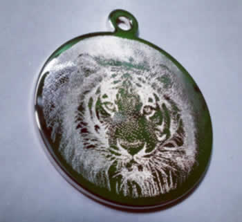 Фотогравировка тигра на настольном гравировально-фрезерном станке с чпу Magic